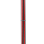 FM2 12V2X6 模组线 （黑红）