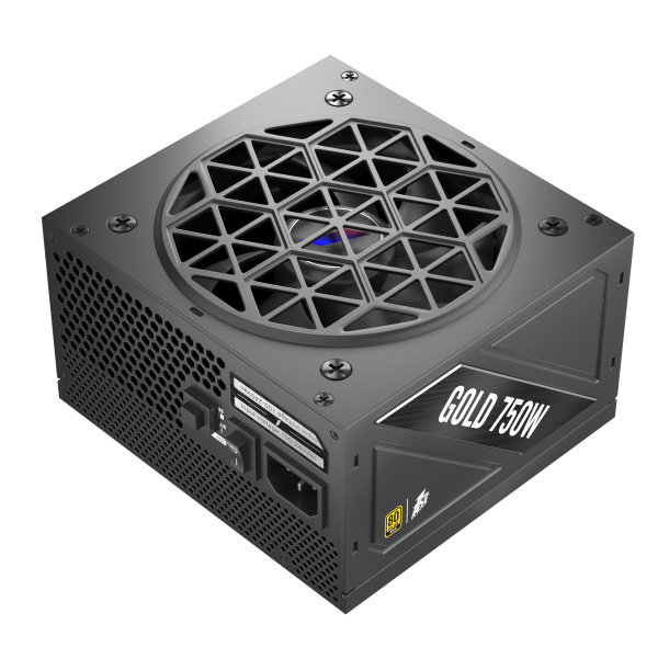 NGDP 750W金牌（黑）