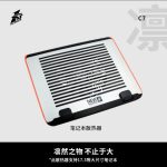 C7 大尺寸散热器