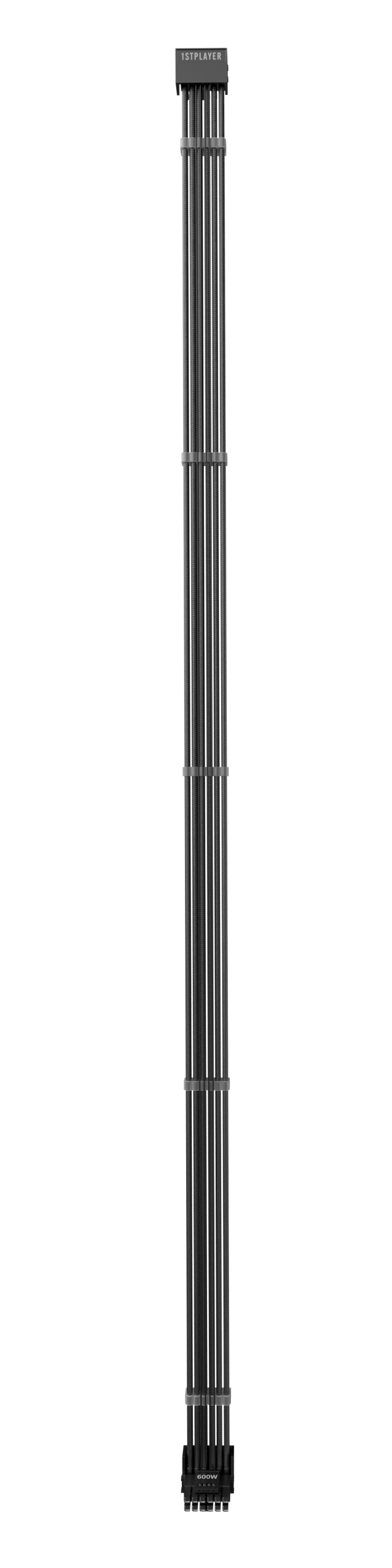 FM2 12V2X6 模组线 （黑）
