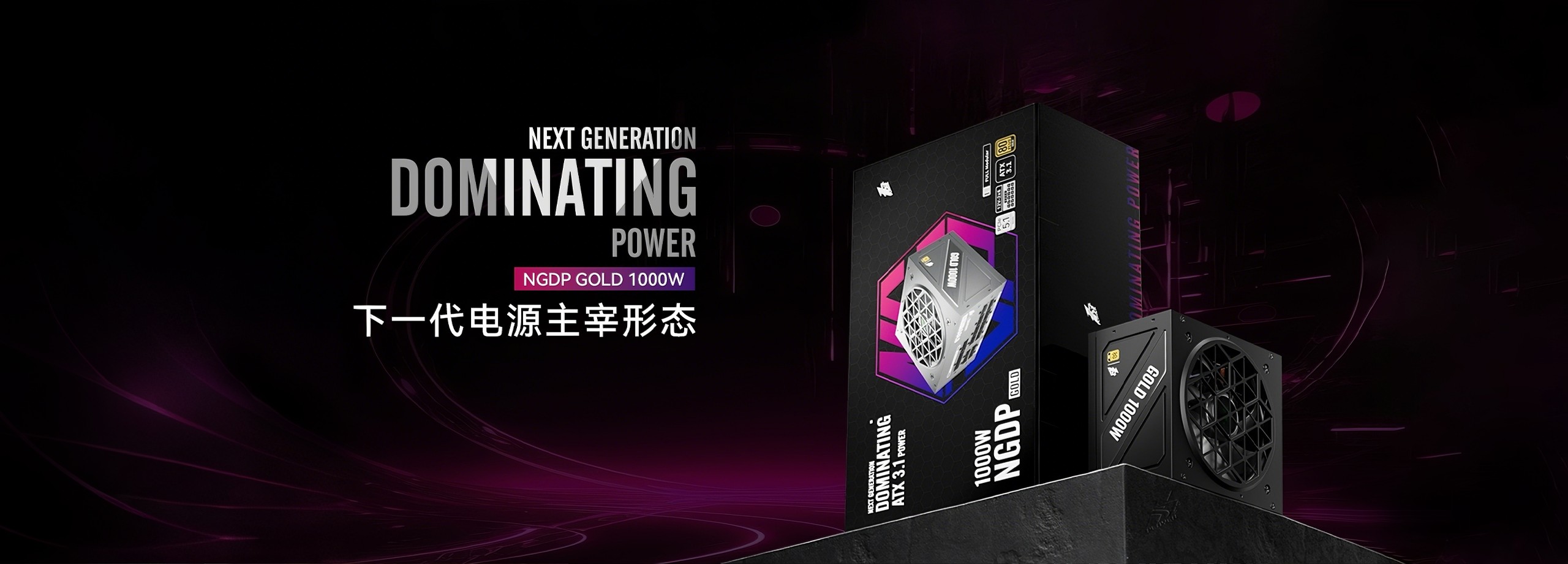 NGDP 1000W
